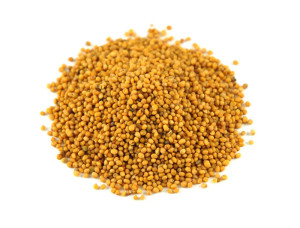 mustard-seeds-hot-oriental-1