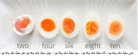 Make perfect boiled eggs