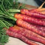 Carrot benefits گاجر کےفوائد