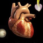 علاج، و،نسخہ: دل کے بندوالوکھولنے کا
