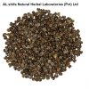 althaea-officinalis-seed