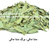 Sana Makki, Cassia angustifolia-Senna-Leaf