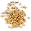 coriander-seeds-al shifa