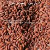 Garden Cress Seeds-AL shifa Natural Herbal Laboratories (Pvt) Ltd