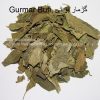 Gurmar-buti-AL shifa Natural Herbal Laboratories (Pvt) Ltd-hakeem irfan