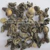 amla-amla-emblica-officinalis-AL shifa Natural Herbal Laboratories (Pvt) Ltd