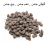 jambolana-seed-Jamun Seed Powder Which Controls Diabetes Mellitus Type 2