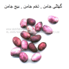 jamun-seeds-AL shifa Natural Herbal Laboratories (Pvt) Ltd
