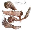 Orris Root-al shifa-natural-herbal.jpg11