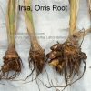 Orris Root-al shifa-natural-herbal.jpg3