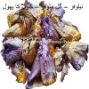 gul niloofar-AL shifa Natural Herbal Laboratories (Pvt) Ltd66