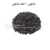 Psoralea seeds-AL shifa Natural Herbal Laboratories (Pvt) Ltd