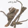 Sheetraj-AL shifa Natural Herbal Laboratories (Pvt) Ltd
