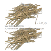 bozedan-Tanacetum-umbelliferum-Boiss-al shifa-herbal