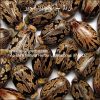 castor-oil-AL shifa Natural Herbal Laboratories (Pvt) Ltd