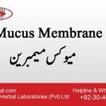 Mucus Membrane، نسخہ الشفاء : میوکس میمبرین